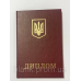 Бланк диплом червоний бордо
