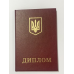 Бланк диплом червоний бордо Бланк диплом червоний бордо