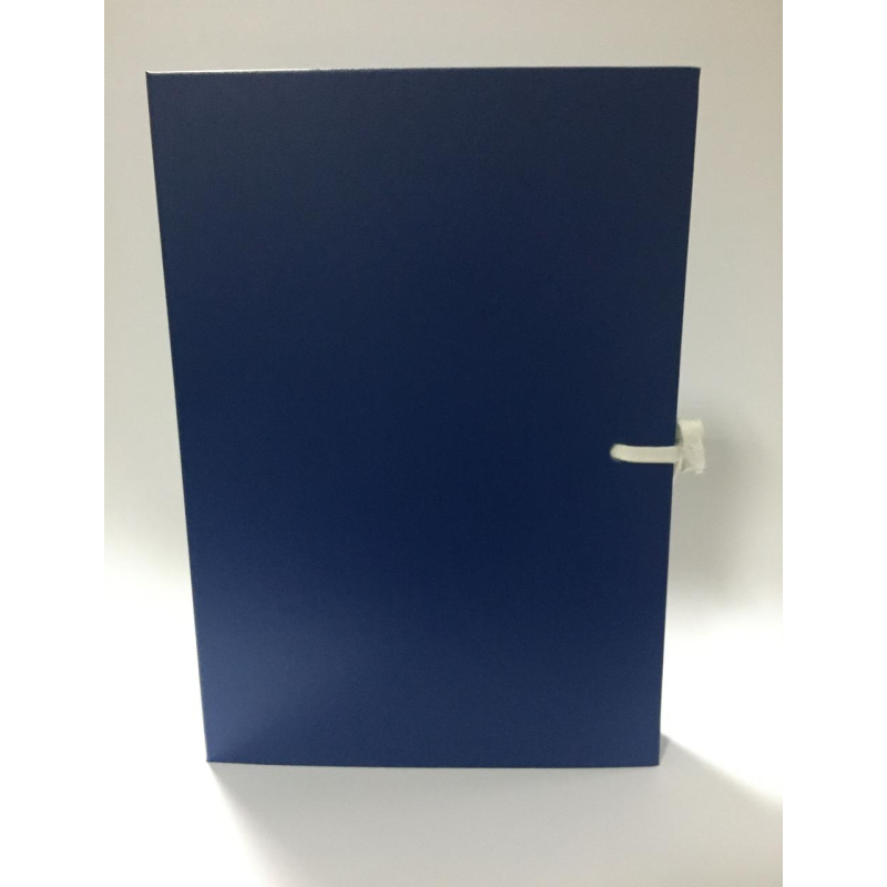 Папка А4 для архіву тверда на зав“язках, папка для підприємств Папка А4 для архіву тверда на зав“язках, папка для підприємств